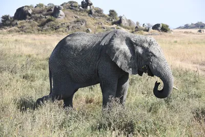 DSC_3850 (Large).JPG